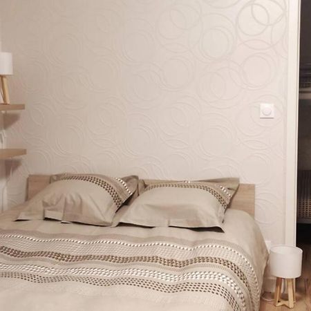 Le Cygne, Appartement De Standing En Hyper-Centre Саргемин Екстериор снимка