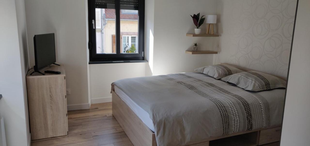 Le Cygne, Appartement De Standing En Hyper-Centre Саргемин Екстериор снимка