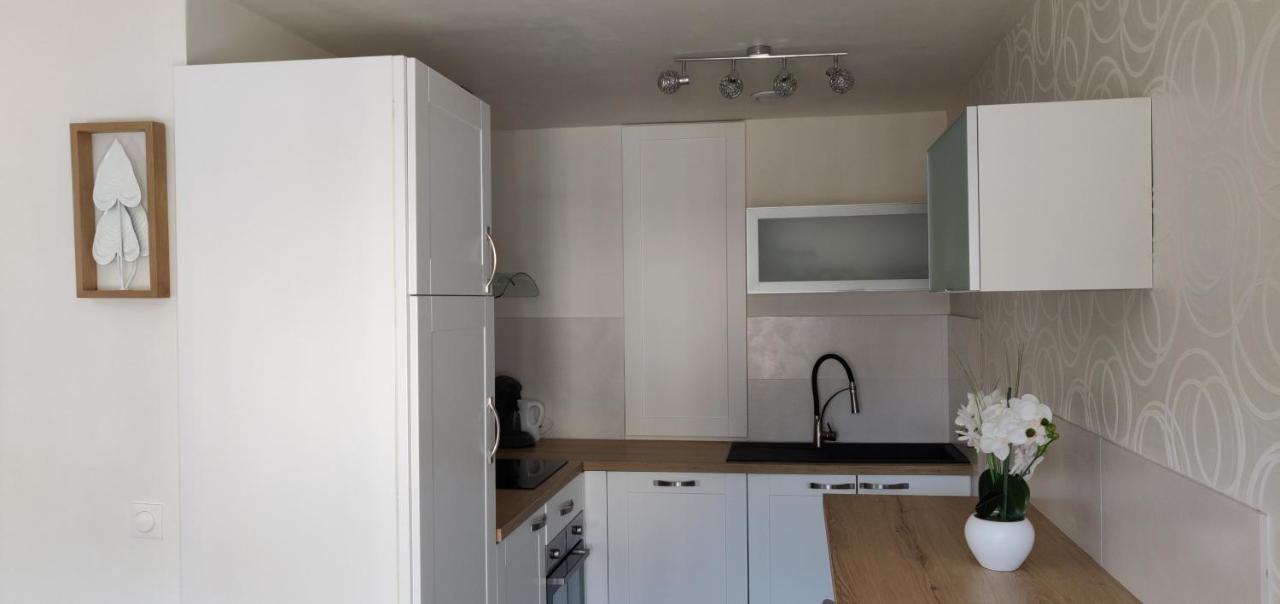 Le Cygne, Appartement De Standing En Hyper-Centre Саргемин Екстериор снимка